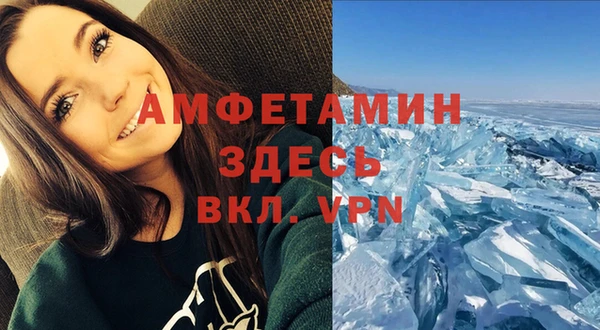 сатива Алексеевка
