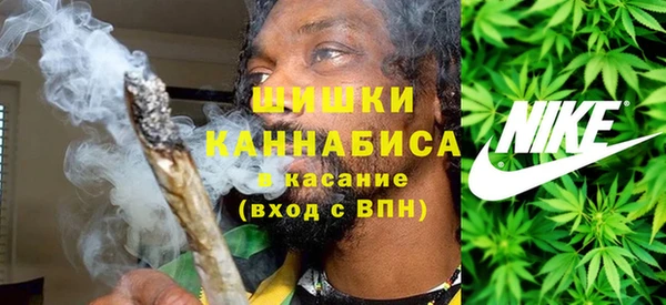 дурь Алзамай