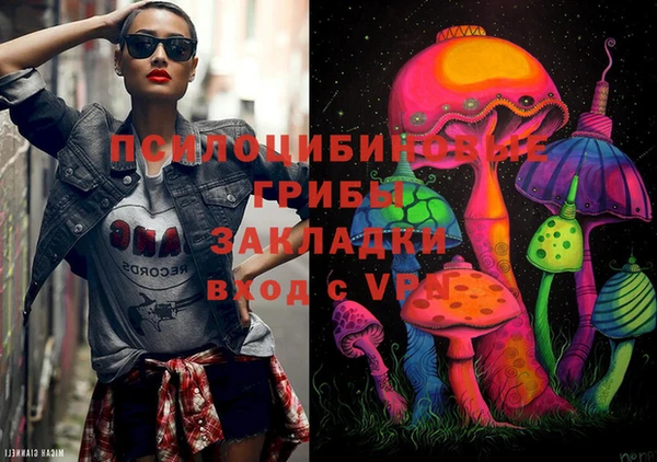 дурь Алзамай