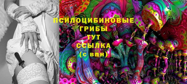 сатива Алексеевка