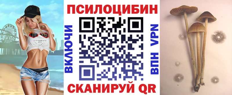 Псилоцибиновые грибы MAGIC MUSHROOMS  Ступино 